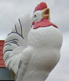 Chicken Statue on top of the building